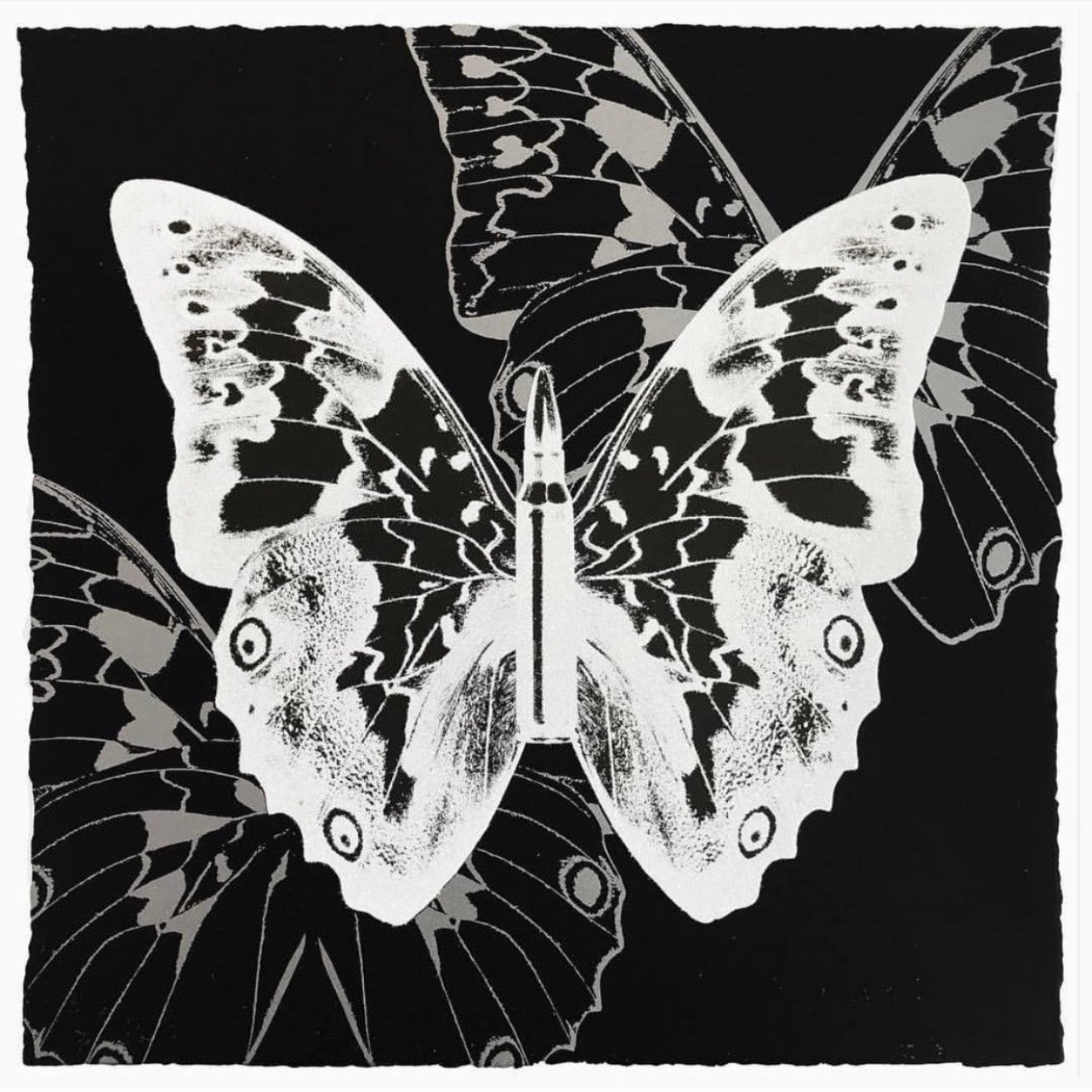 Metamorphosis