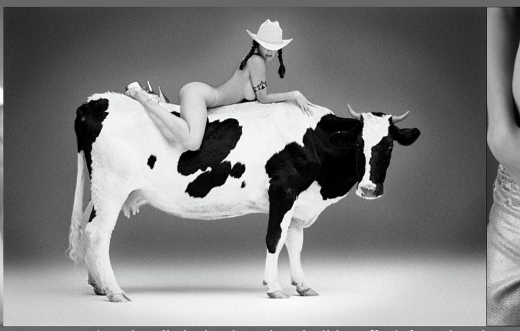 Girl Riding Cow
