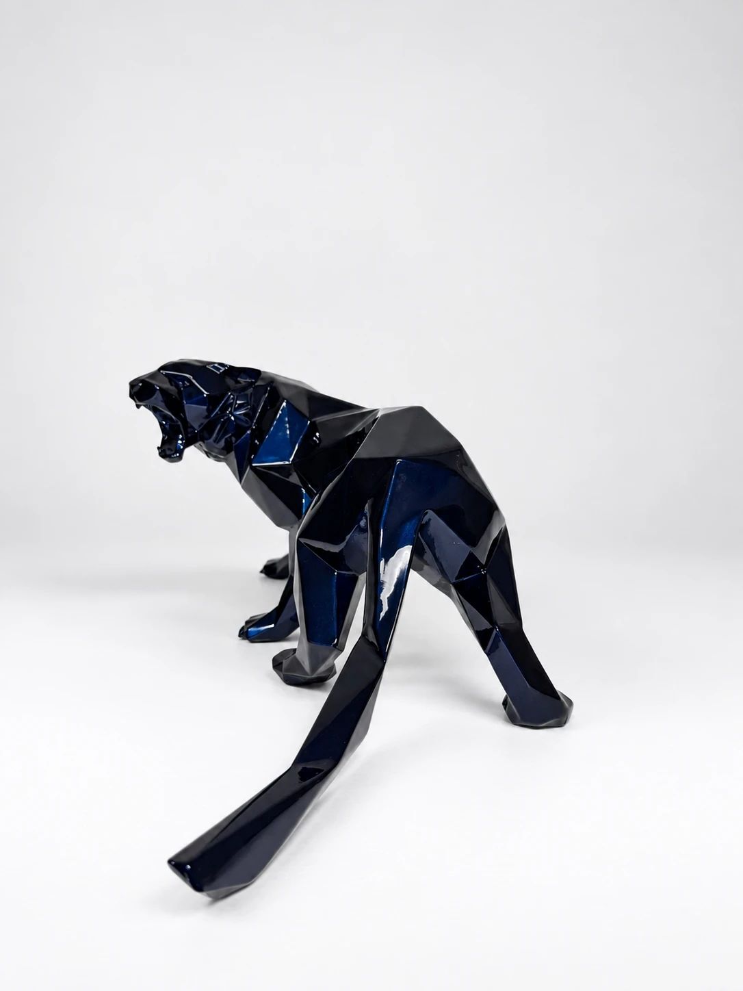 Tigre Bleu Mauritius 40cm 50/50 — view 4 of 5