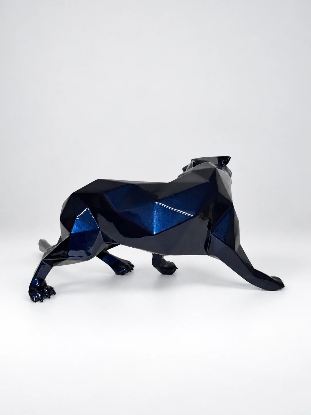 Tigre Bleu Mauritius 40cm 50/50 — view 2 of 5
