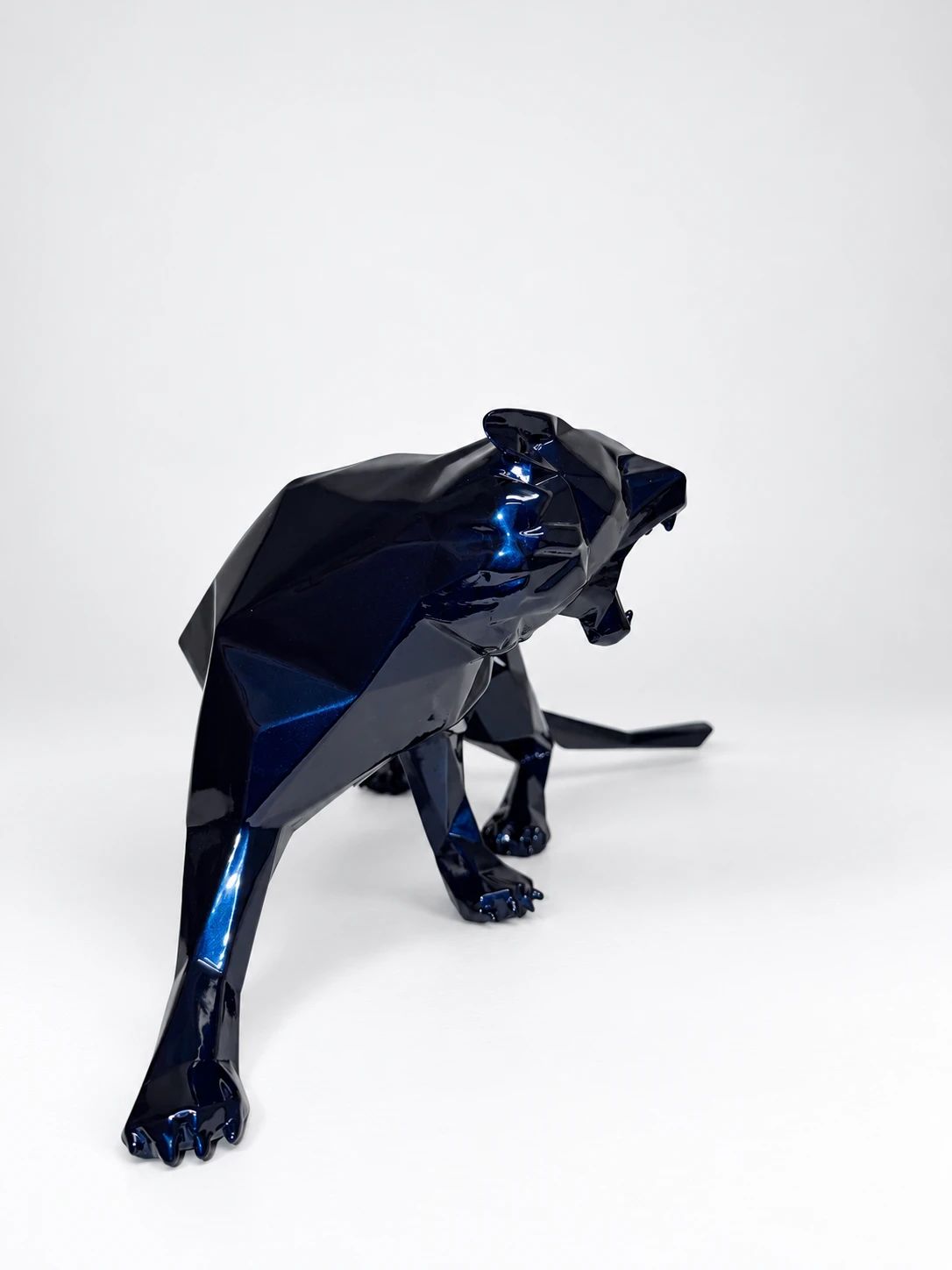 Tigre Bleu Mauritius 40cm 50/50 — view 3 of 5