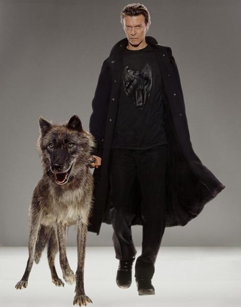 David Bowie, Natural Villains