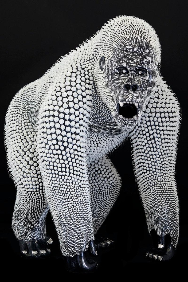 Black Gorilla