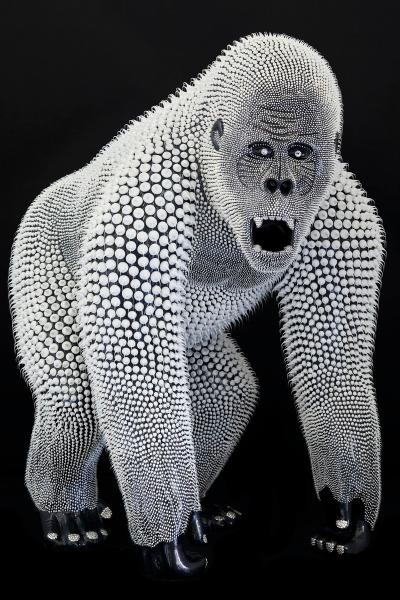 Black Gorilla