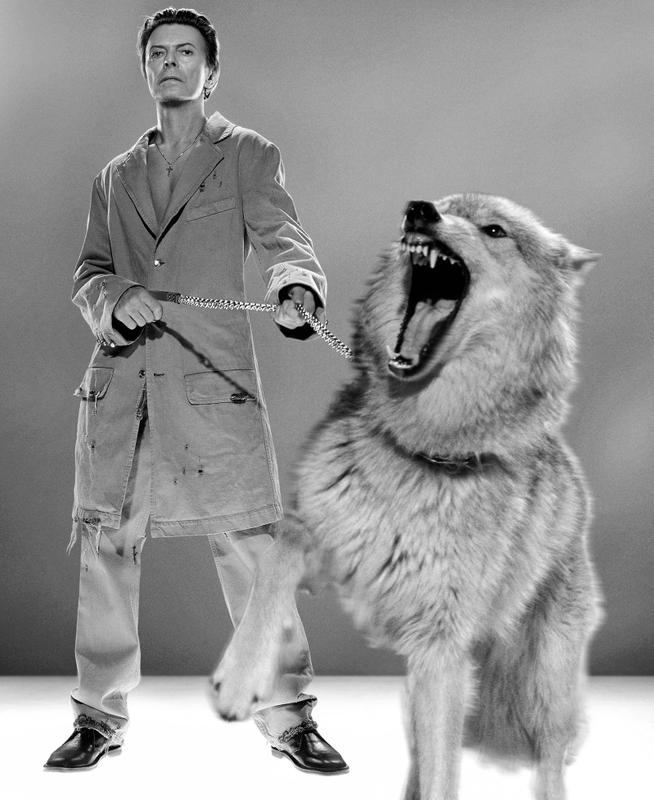 David Bowie, The Protector, B&W