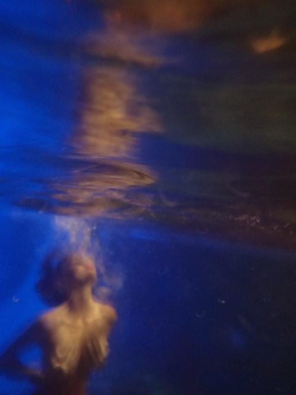 The Diver