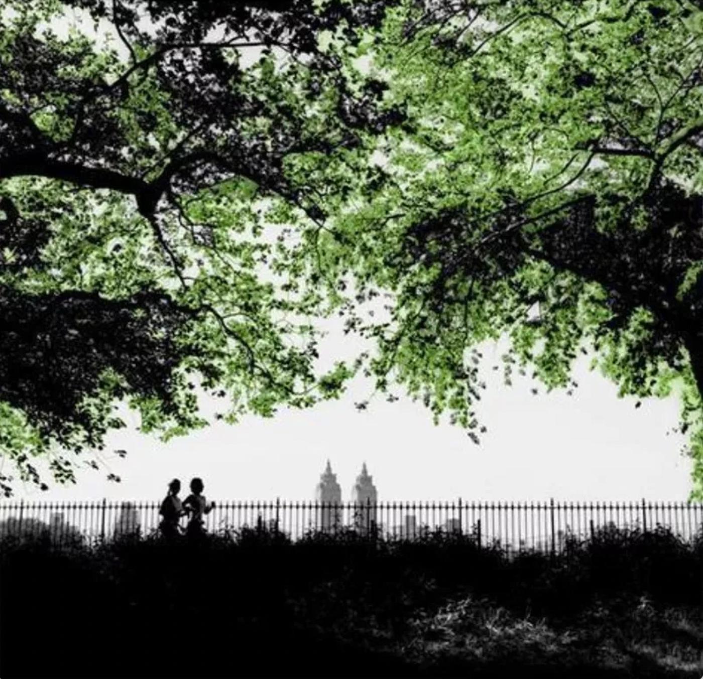 Central Park Joggers