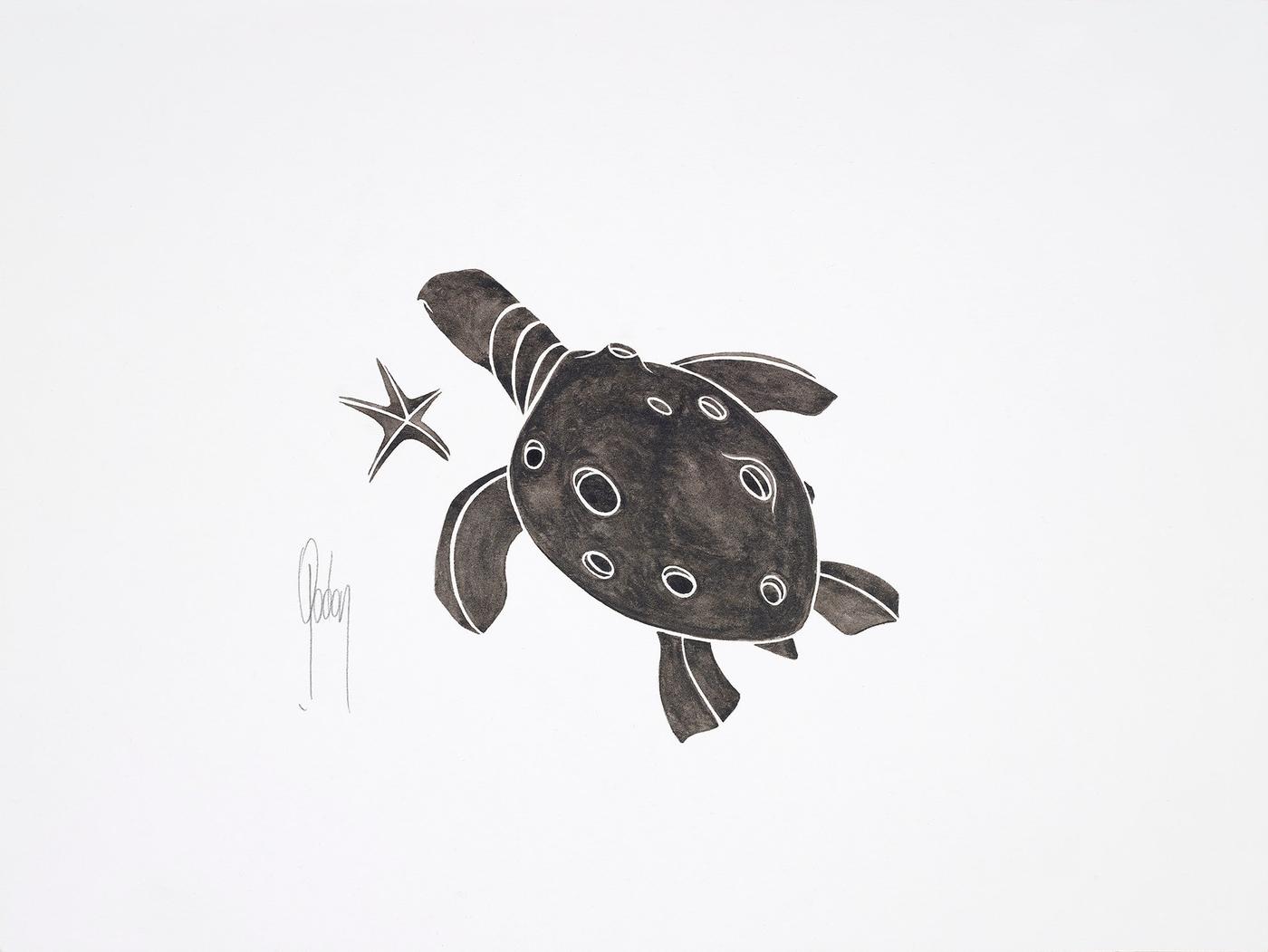 Tortue et Étoile de Mer