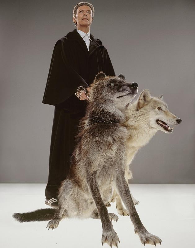 David Bowie, The Pack