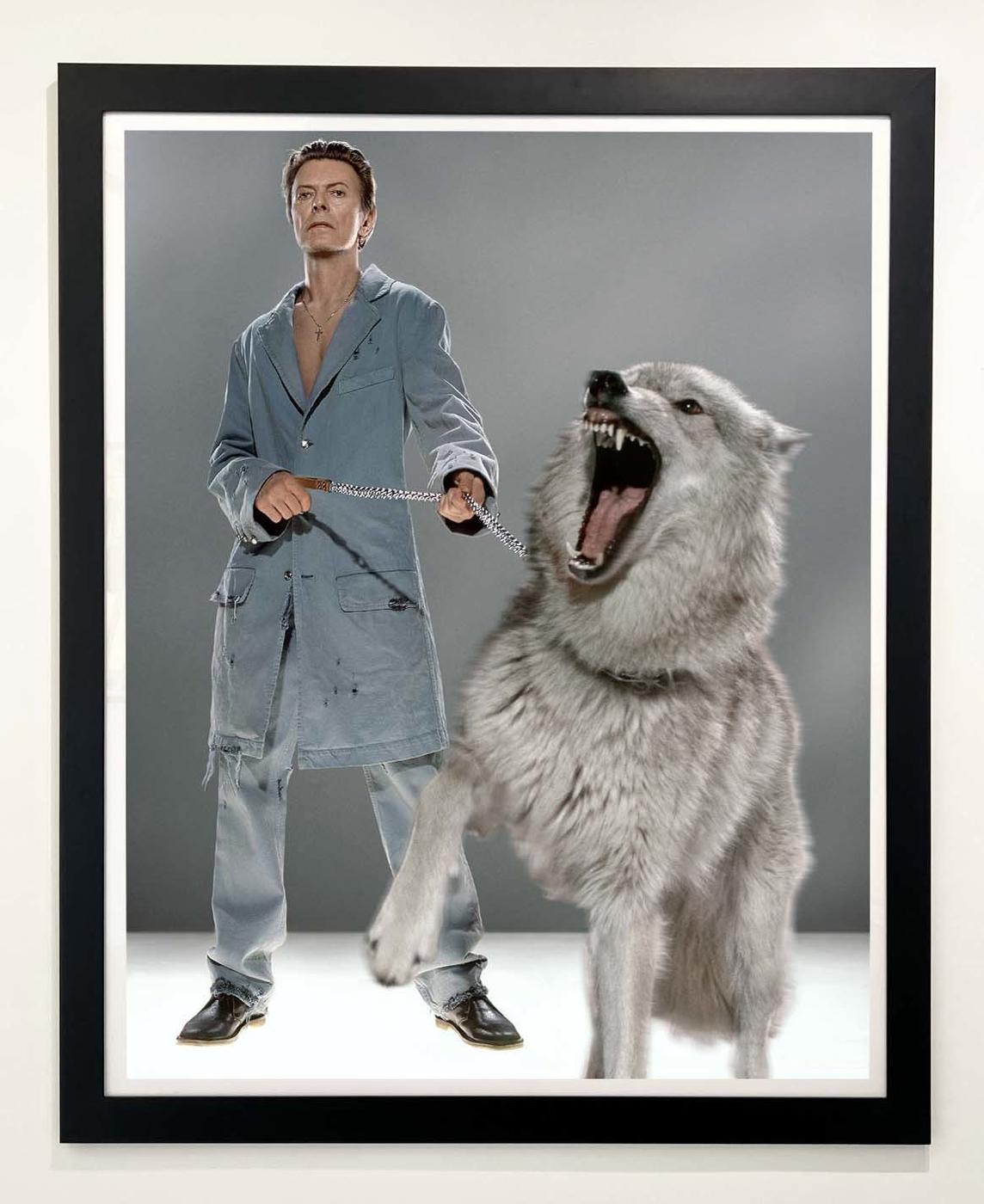 David Bowie, The Protector