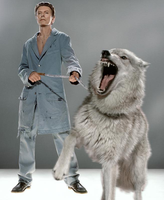 David Bowie: The Protector