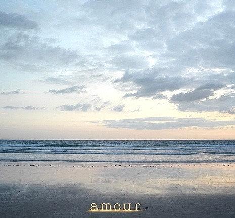 Amour is French