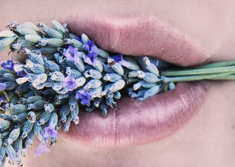 Lavender