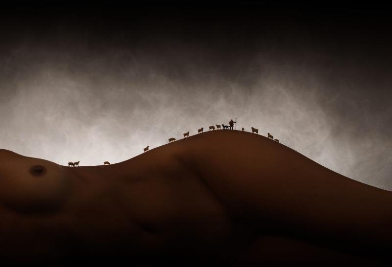 Les Moutons de Valou