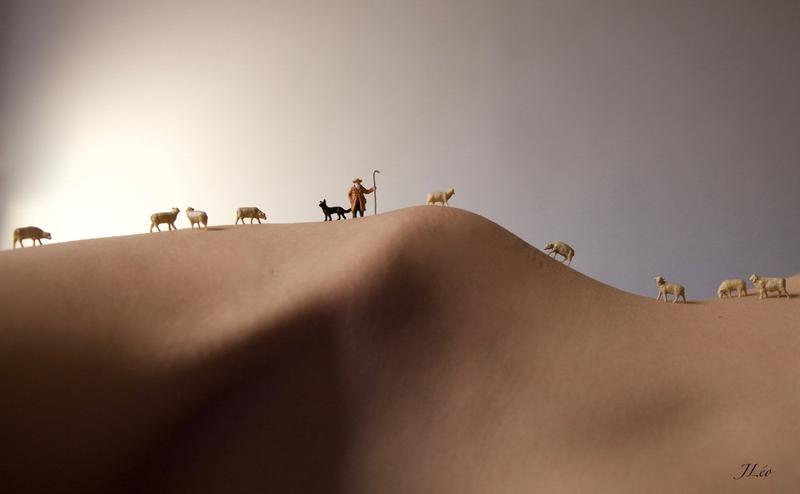 Transhumance (sample)