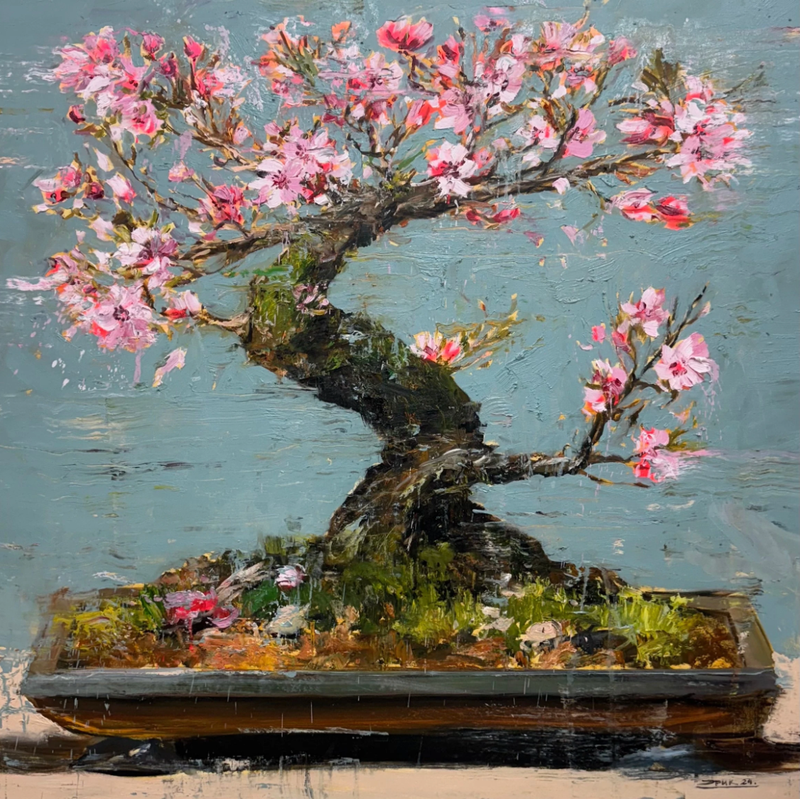 Sakura in Bloom