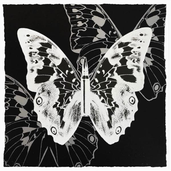 Metamorphosis