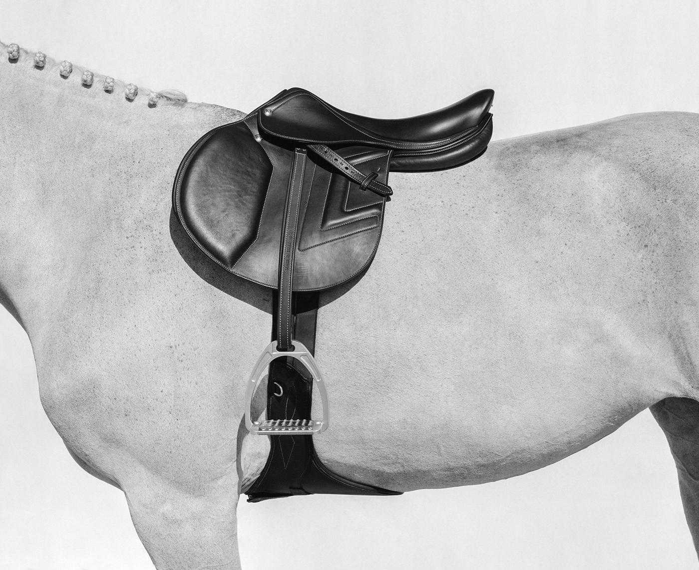 The Saddle
