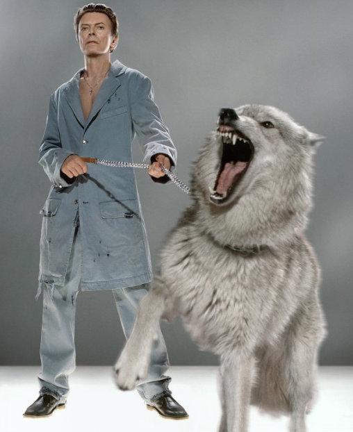 David Bowie: The Protector