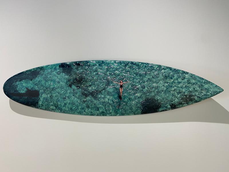 View from the Sky: PLANCHE Daddy Board (6,7") "Fins & Whale Shark")