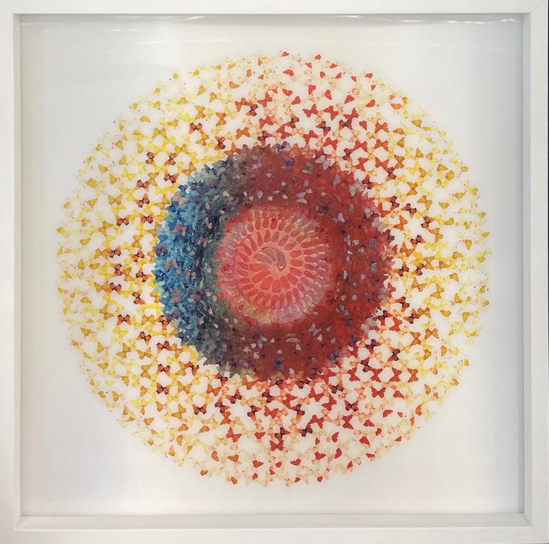 Dreamcatcher Red Sky 60cm