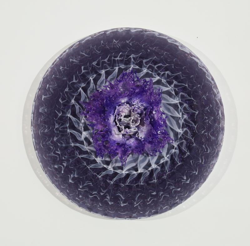 Violet Lotus Light Disc
