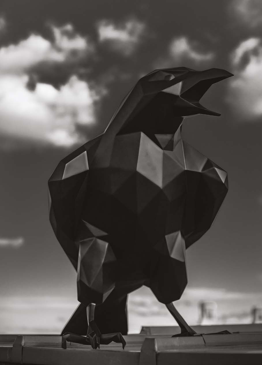 Raven