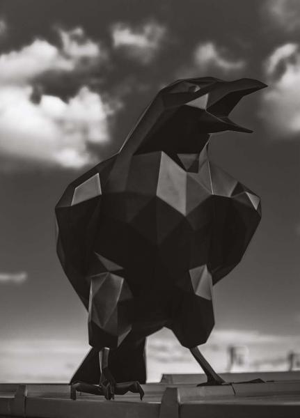 Raven