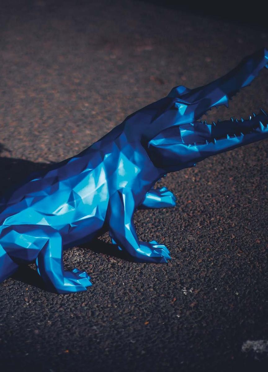 Faceted Crocodile